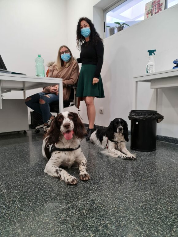 Novedades del Creap, septiembre de 2022: Taller Terapia Asistida con Animales