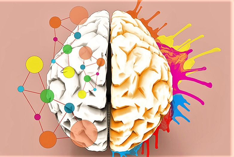 Imagen artística de un cerebro