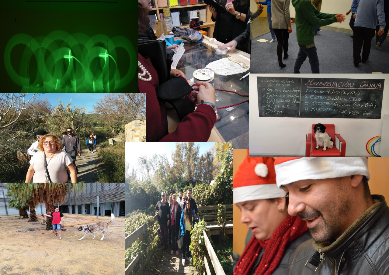 El CREAP en imágenes