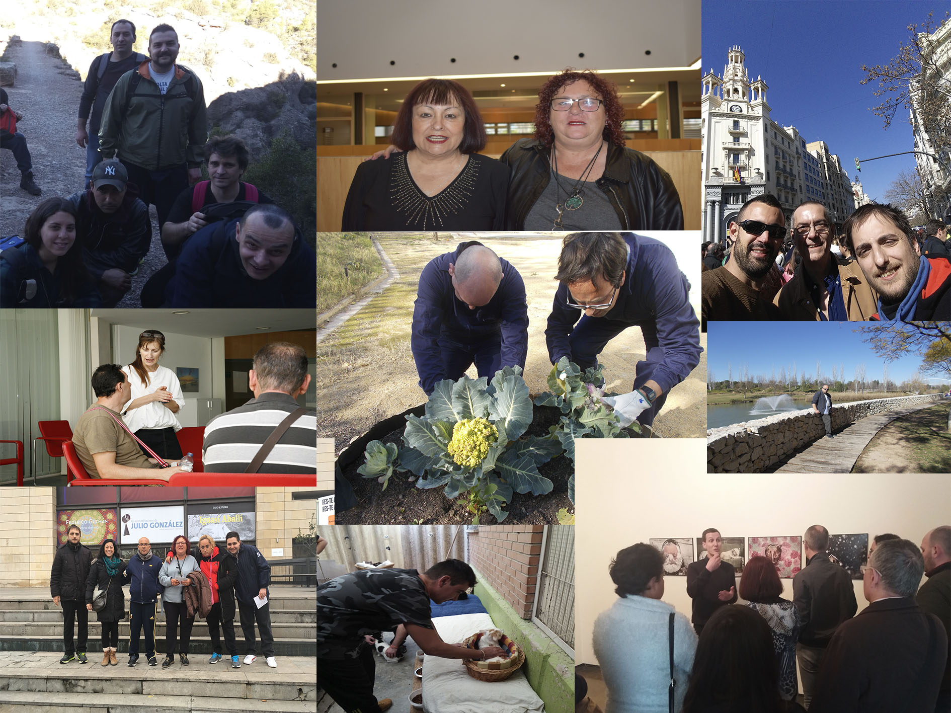 El Creap en imágenes