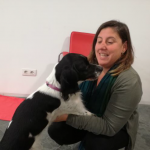 El programa de Intervención con animales (IA) del Creap