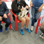 El programa de Intervención con animales (IA) del Creap