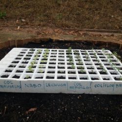 La actividad en el Creap: taller de jardinería