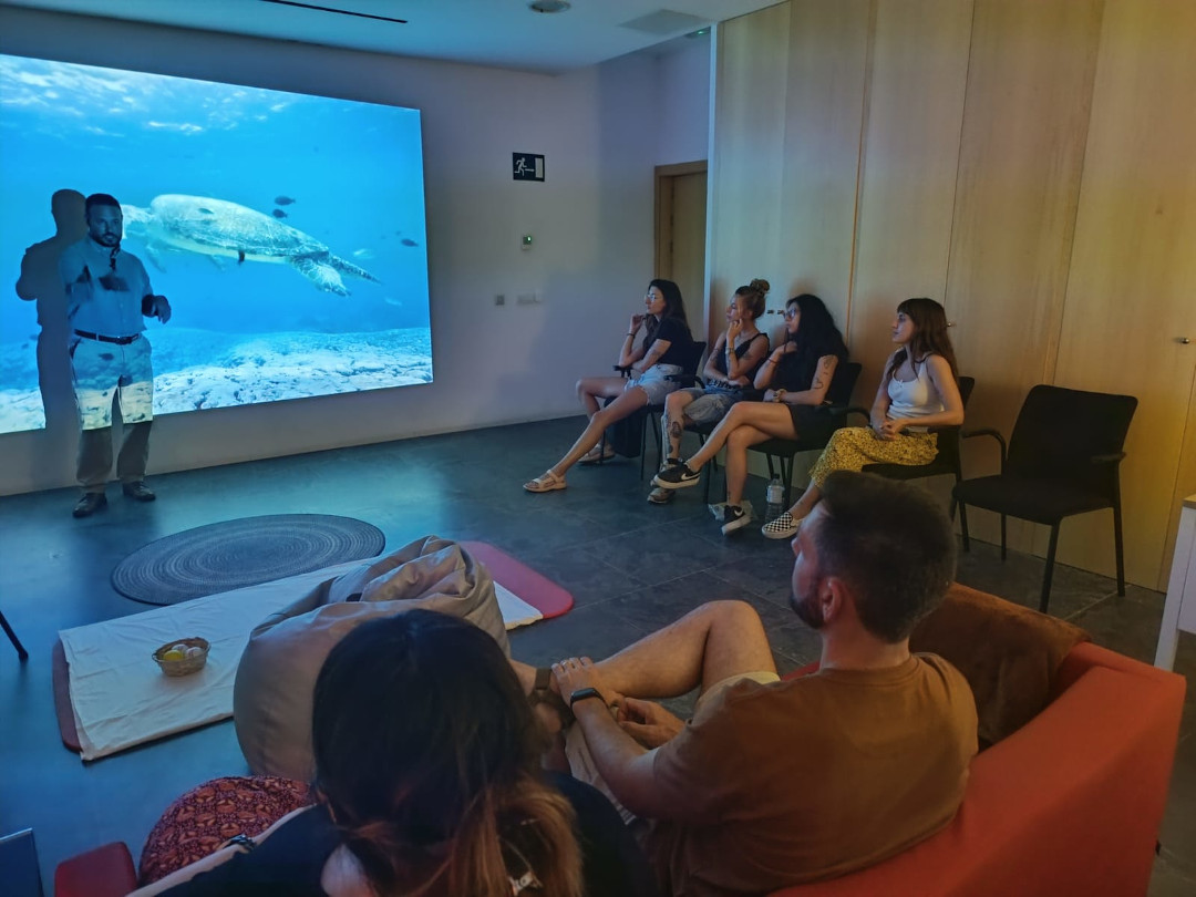 Recursos estimulares de la sala de relax