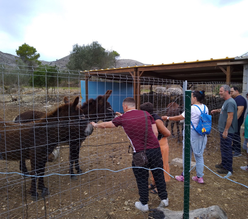 Terapia de naturaleza